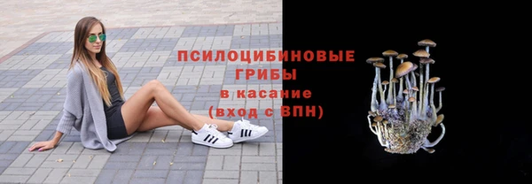скорость Бронницы