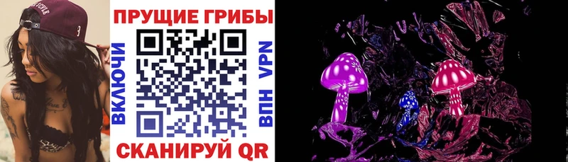 мориарти телеграм  Камешково  Галлюциногенные грибы Cubensis 